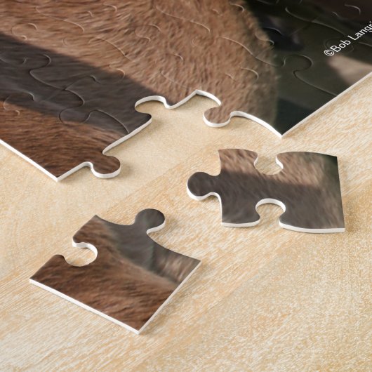 Bob Langrish | Zwei irische Pferdefohlen spielen Puzzle (Seite)