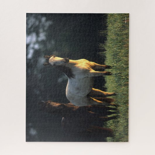 Bob Langrish | Zwei Kiger Mustangs Stehend Puzzle (Vertikal)