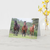 Bob Langrish | Zwei mit Foal Stehende walisische P Karte (Gelbe Blume)