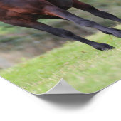 Bob Langrish | Zwei mit Foal Stehende walisische P Poster (Ecke)