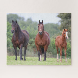 Bob Langrish   Zwei mit Foal Stehende walisische P Puzzle