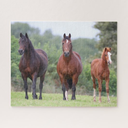 Bob Langrish | Zwei mit Foal Stehende walisische P Puzzle (Horizontal)