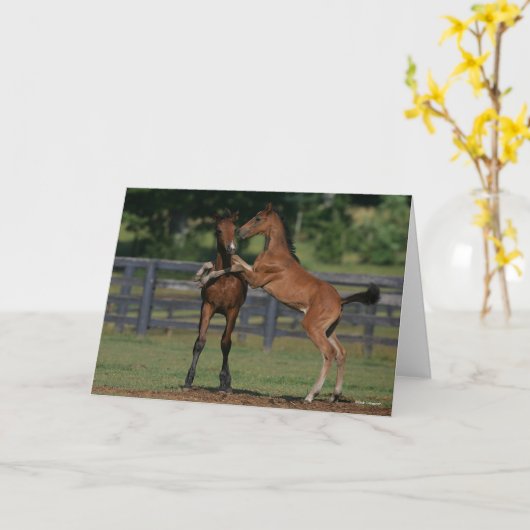 Bob Langrish | Zwei Morgan Foals Karte (Gelbe Blume)