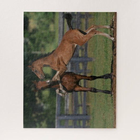 Bob Langrish | Zwei Morgan Foals Puzzle (Vertikal)