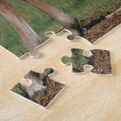 Bob Langrish | Zwei Morgan Foals Puzzle (Seite)