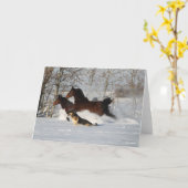 Bob Langrish | Zwei Morganpferde und Hunde im Schn Karte (Gelbe Blume)