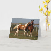 Bob Langrish | Zwei Paint Pferde spielen zusammen Karte (Gelbe Blume)