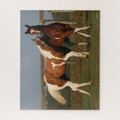 Bob Langrish | Zwei Paint Pferde spielen zusammen Puzzle (Vertikal)