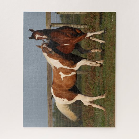 Bob Langrish | Zwei Paint Pferde spielen zusammen Puzzle (Vertikal)