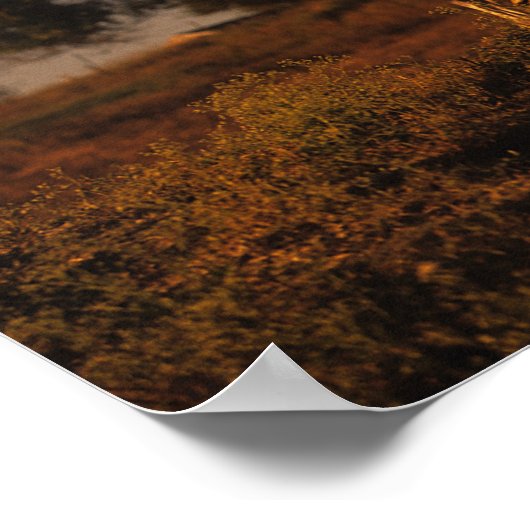 Bob Langrish | Zwei Pferde, die im Sonnenuntergang Poster (Ecke)