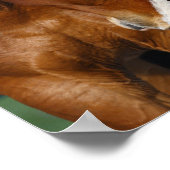 Bob Langrish | Zwei Pferdeköpfe zusammen Poster (Ecke)