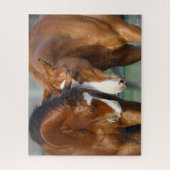 Bob Langrish | Zwei Pferdeköpfe zusammen Puzzle (Vertikal)