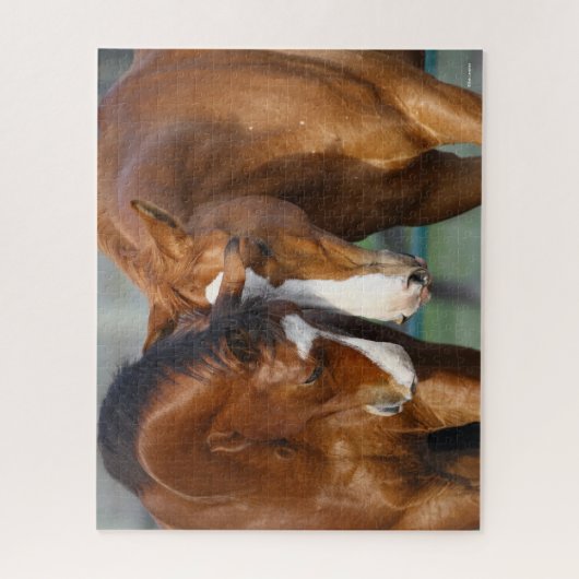 Bob Langrish | Zwei Pferdeköpfe zusammen Puzzle (Vertikal)