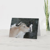 Bob Langrish | Zwei Ponys-Treffen im Schneefall Karte (Vorderseite)