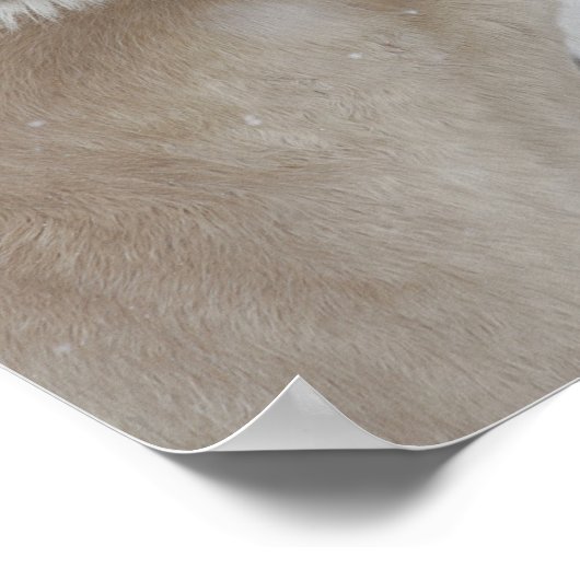 Bob Langrish | Zwei Ponys-Treffen im Schneefall Poster (Ecke)