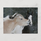 Bob Langrish | Zwei Ponys-Treffen im Schneefall Postkarte (Vorderseite)