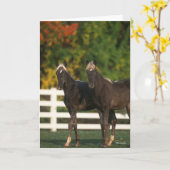 Bob Langrish | Zwei Rocky Mountains Foals Stehend Karte (Gelbe Blume)