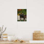 Bob Langrish | Zwei Rocky Mountains Foals Stehend Poster (Küche)