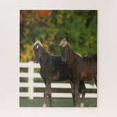 Bob Langrish | Zwei Rocky Mountains Foals Stehend Puzzle (Vertikal)
