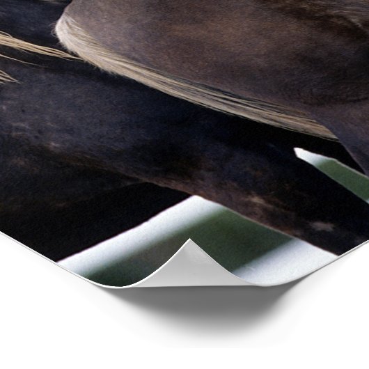 Bob Langrish | Zwei Rocky Mountains Stehend Poster (Ecke)