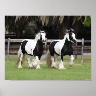 Bob Langrish   Zwei Schwarzweiß-Sinti und Roma-Va Poster