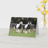 Bob Langrish | Zwei Schwarzweiß-Sinti und Roma-Van Karte (Gelbe Blume)