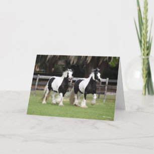 Bob Langrish   Zwei Schwarzweiß-Sinti und Roma-Van Karte