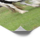 Bob Langrish | Zwei Schwarzweiß-Sinti und Roma-Van Poster (Ecke)