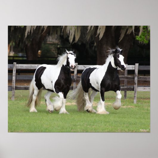 Bob Langrish | Zwei Schwarzweiß-Sinti und Roma-Van Poster (Vorne)