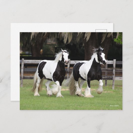 Bob Langrish | Zwei Schwarzweiß-Sinti und Roma-Van Postkarte (Vorne/Hinten)