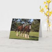 Bob Langrish | Zwei Shire Horse Youngsters Stehend Karte (Gelbe Blume)