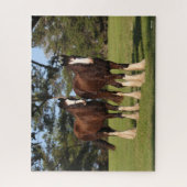 Bob Langrish | Zwei Shire Horse Youngsters Stehend Puzzle (Vertikal)