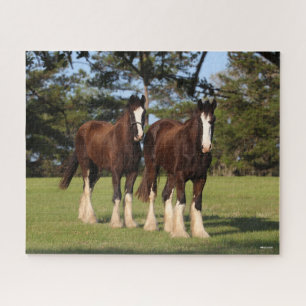 Bob Langrish   Zwei Shire Horse Youngsters Stehend Puzzle