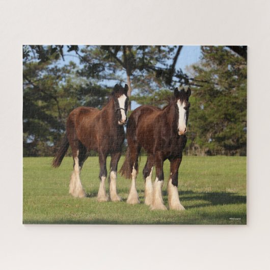 Bob Langrish | Zwei Shire Horse Youngsters Stehend Puzzle (Horizontal)