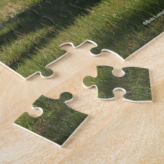 Bob Langrish | Zwei Shire Horse Youngsters Stehend Puzzle (Seite)