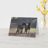 Bob Langrish | Zwei Sinti und Roma-Vanners im Feld Karte (Gelbe Blume)