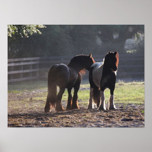 Bob Langrish | Zwei Sinti und Roma-Vanners im Feld Poster (Vorne)