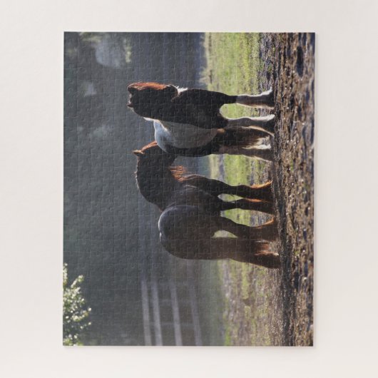 Bob Langrish | Zwei Sinti und Roma-Vanners im Feld Puzzle (Vertikal)