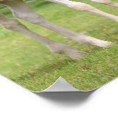 Bob Langrish | Zwei Sportpferde Stehend Poster (Ecke)