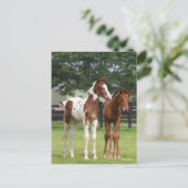 Bob Langrish | Zwei Sportpferde Stehend Postkarte (Stehend Vorderseite)