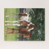 Bob Langrish | Zwei Sportpferde Stehend Puzzle (Horizontal)