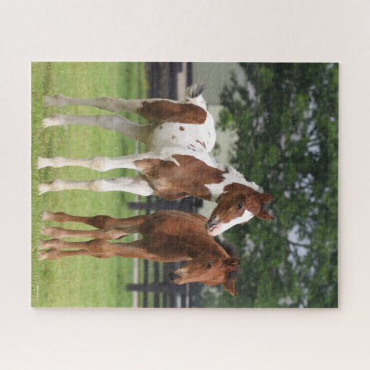 Bob Langrish | Zwei Sportpferde Stehend Puzzle (Horizontal)