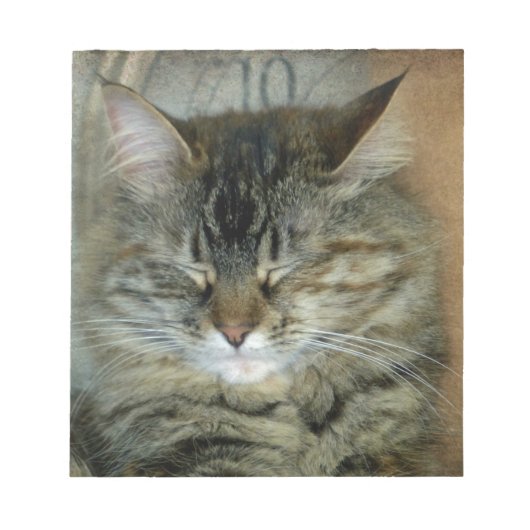 Bob Notizblock (Vorderseite)