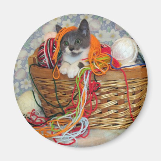 Bob Spinn'in a Yarn Magnet (Vorne)