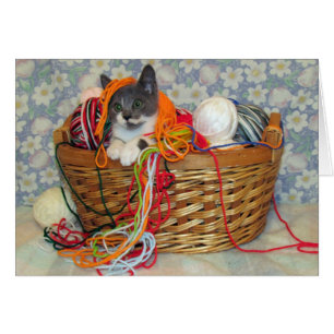 Bob Spinn'in eine Garn-Karte