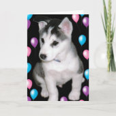 Bob und Ballone Karte (Vorderseite)