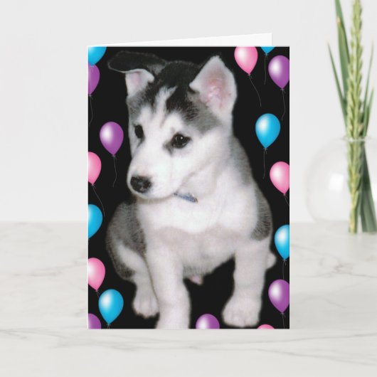 Bob und Ballone Karte (Vorderseite)