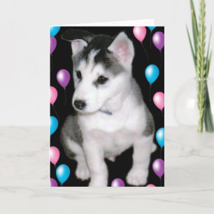 Bob und Ballone Karte