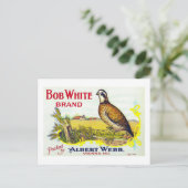 "Bob White Pumpkin Brand Canning Label"-Karte Postkarte (Stehend Vorderseite)