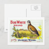 "Bob White Pumpkin Brand Canning Label"-Karte Postkarte (Vorne/Hinten)